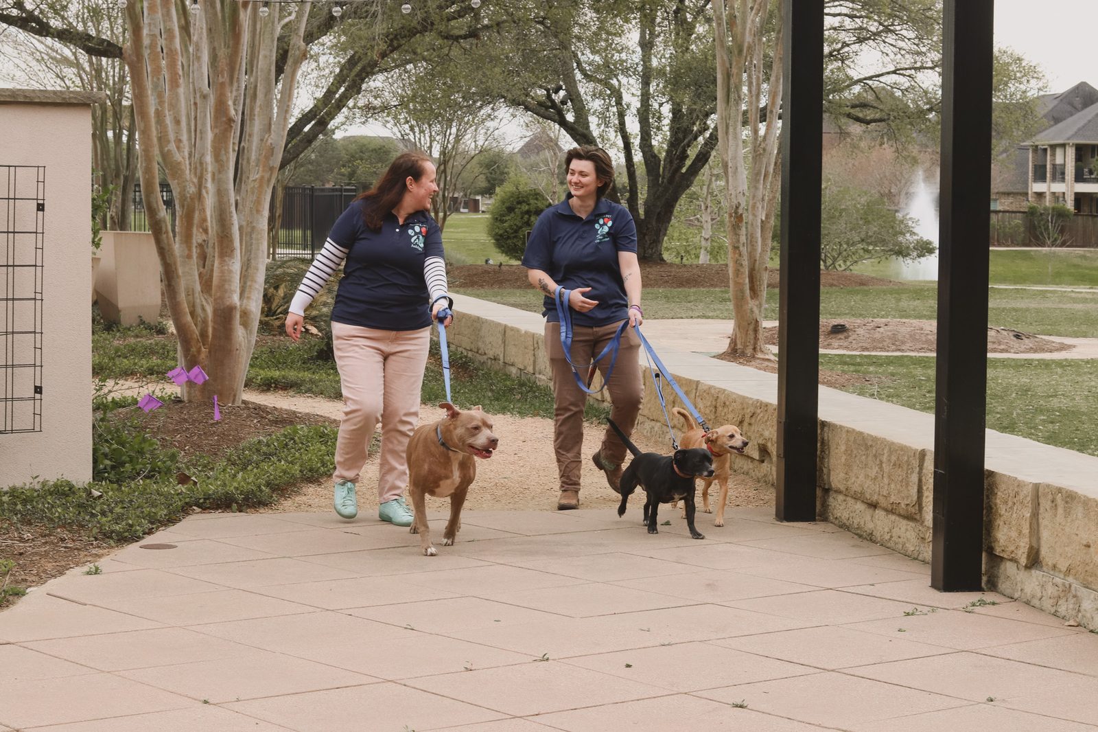Dog walking in Houston